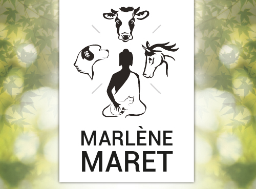 3C_MARLENE