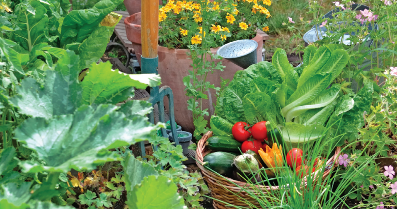 parmaculture-43